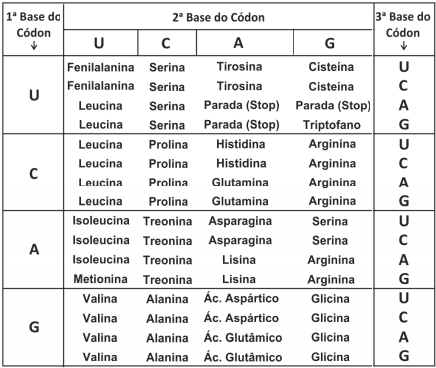 Questão 3 Biologia - Elite Colégio e Pré-Vestibular